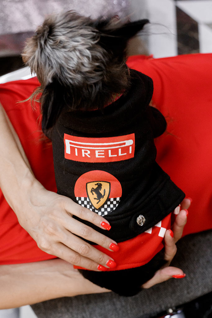 Топ 100 самых красивых женщин России 2023