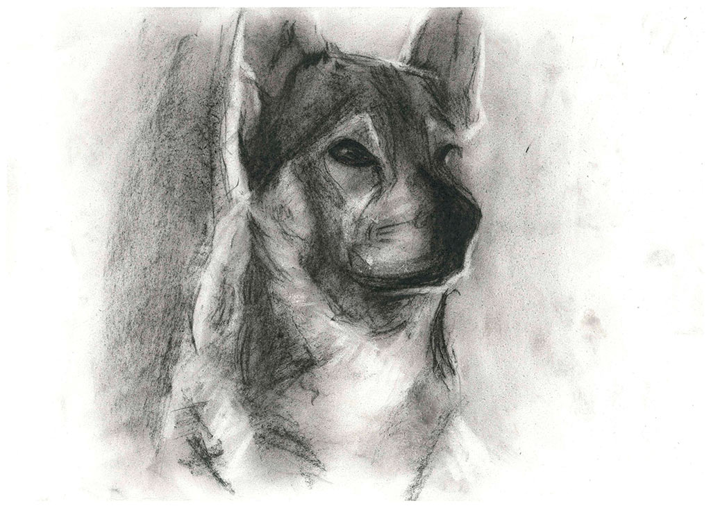 служебная собака