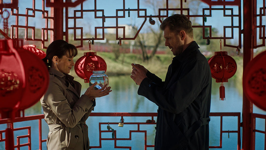 денежное дерево