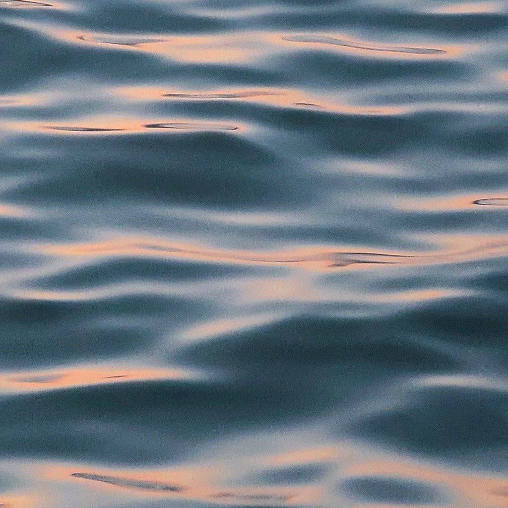 amchi - miron - любовь трек