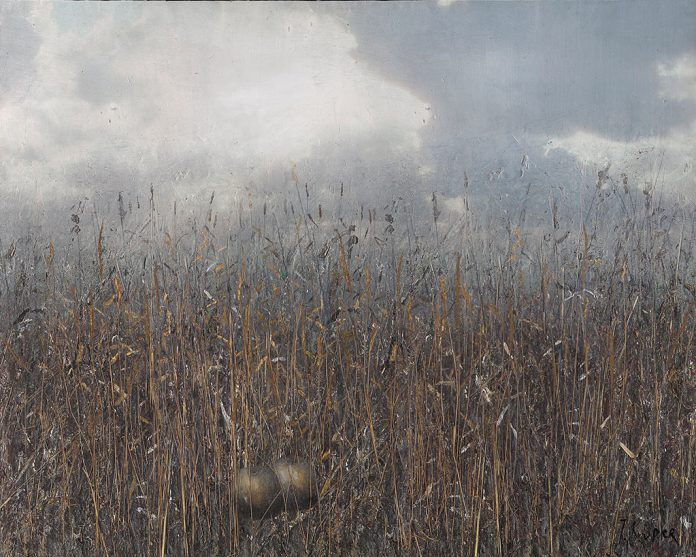 Юрий Купер. Трава с яблоками. Холст, смешанная техника, 200 х 250 см