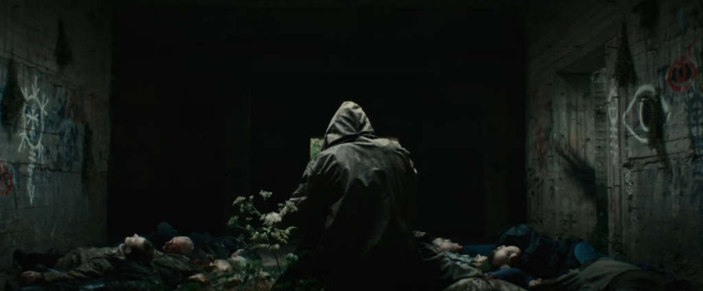 зверобой северный след