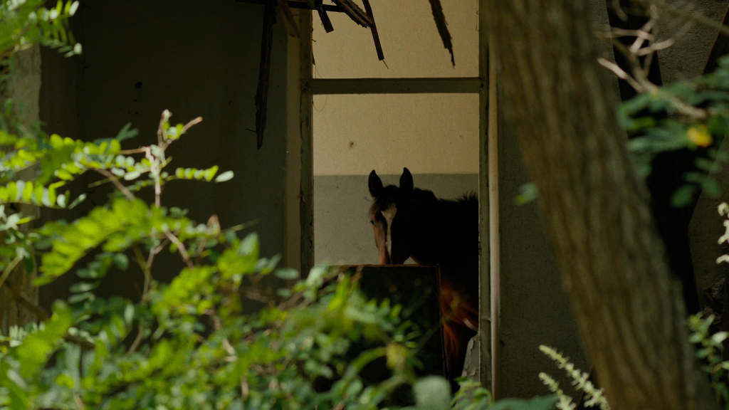 Садон: черная река