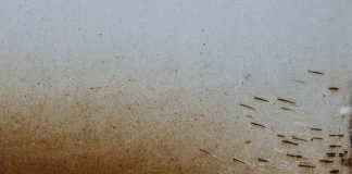 «Inventus»: Василий Иванов стирает границу между фото и живописью Василий Иванов. Inventus №3, 2026 Архивная пигментная печать, накатка на дибонд 40 х 60 см