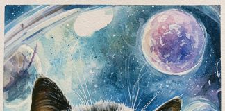 Космос и Луна – даты, рекорды: топ-10 фактов коты покоряют космос и исследуют луну